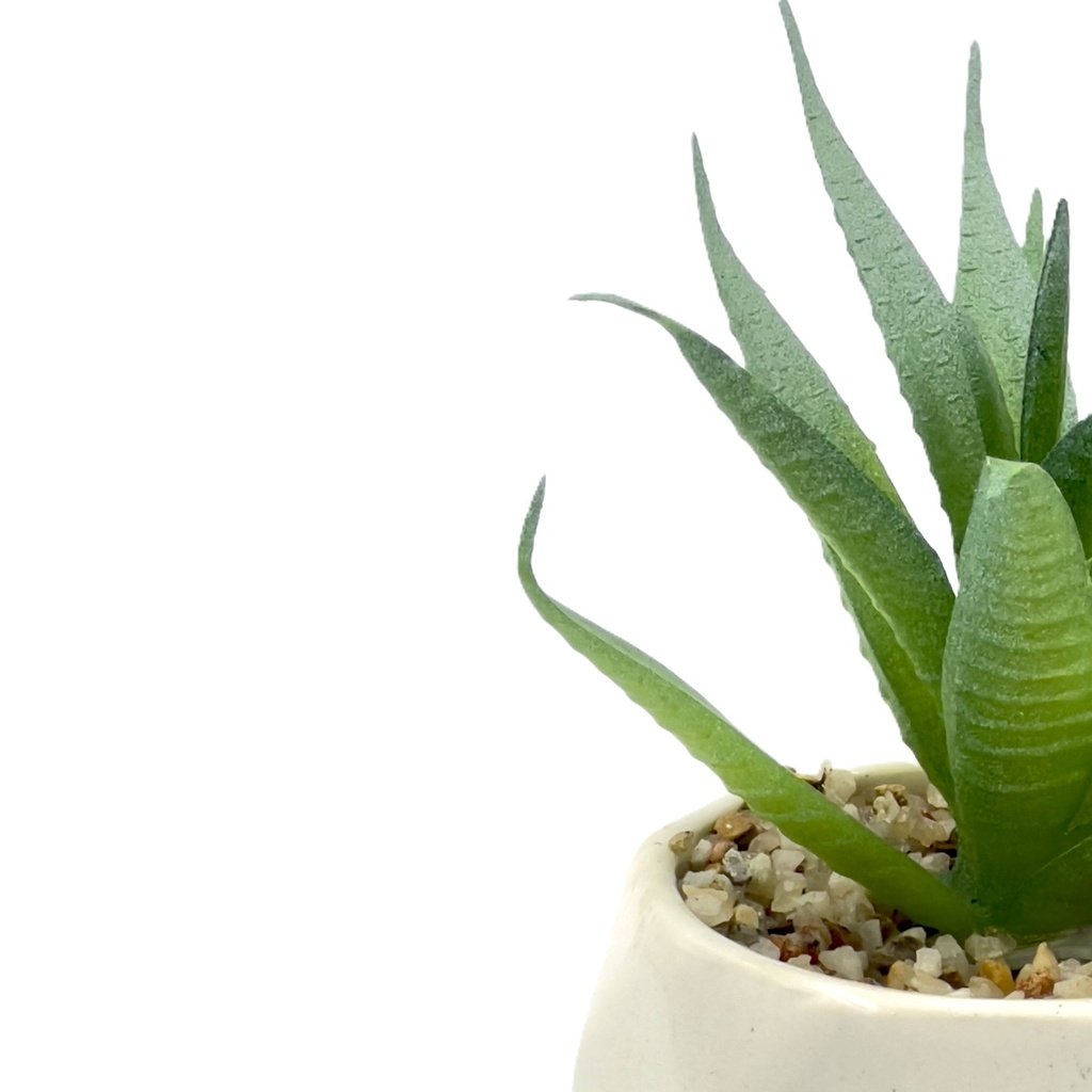 Suculenta verde base prisma 10,5cm