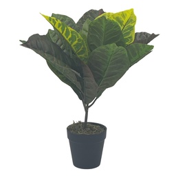 [230033097] Planta artificial Crotón 35cm